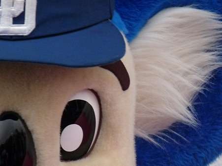 野球のマスコットが好きな方
