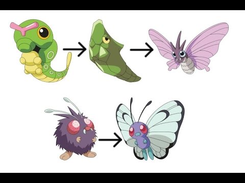 ポケモンの都市伝説 裏設定