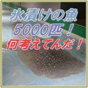 福岡スペースワールド魚の氷漬けスケートリンクが酷すぎて批判殺到！ | 歩叶コラム