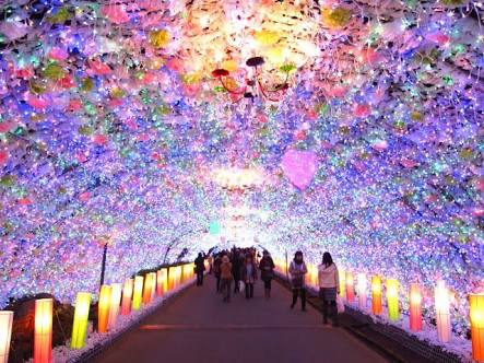 イルミネーションの画像みたいです！