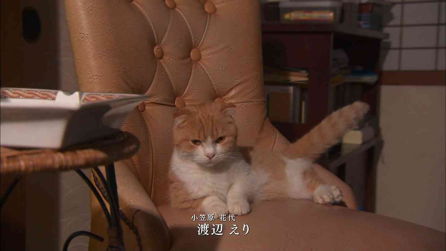 高畑淳子の居ぬ間に…「私でどう?」営業攻勢をかけまくる