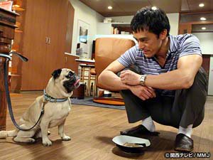 画像を見てドラマのタイトルが分かったらプラスを押すトピ！