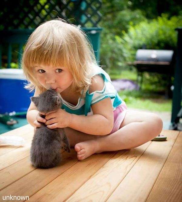 可愛いキスの画像を貼っていくトピ