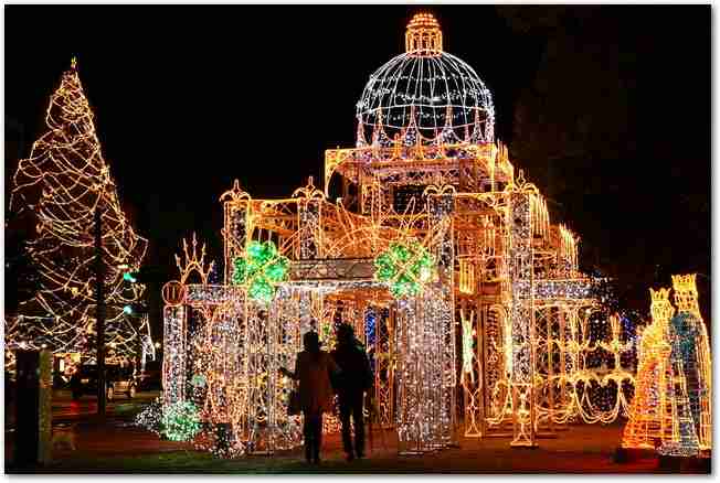 イルミネーションの画像みたいです！