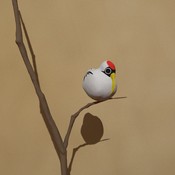 おすすめゲームアプリ