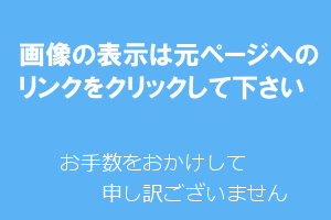 ガルちゃんでよく見る画像