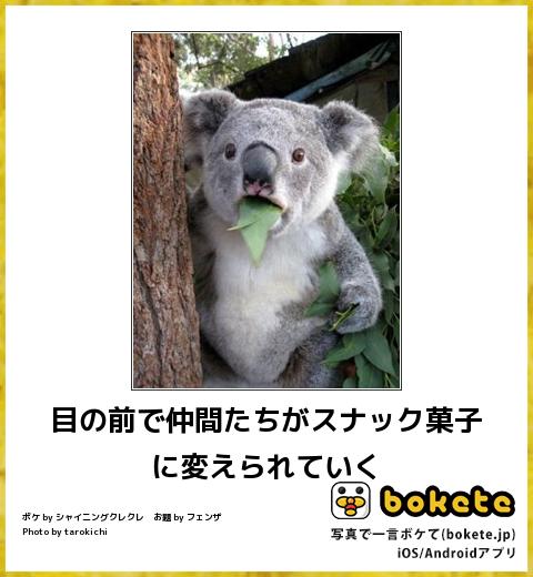 【実況・感想】日本国民がガチで投票!お菓子総選挙2016