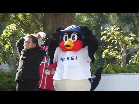 20161105 東京六大学応援団に混ざるつば九郎 - YouTube