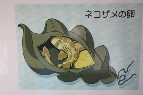 この物体の「正体」があまりに予想外過ぎると話題に