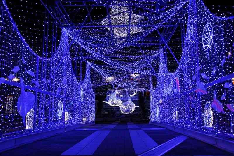 イルミネーションの画像みたいです！