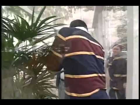 探偵ナイト！スクープ 52才カメムシ初体験 2 - YouTube