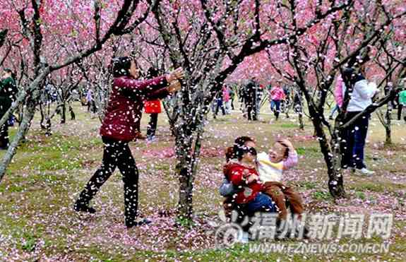 中国人花見客　枝折り注意され「日本は活け花ある」と逆ギレ