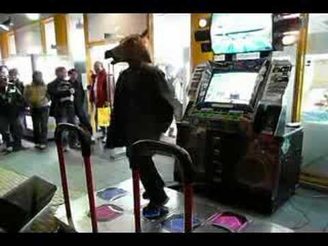 [DDR]Horse played the CANDY☆(EXPERT) facing backwards - YouTube
