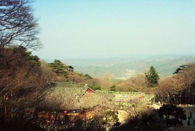 韓国、宗教団体所有の山で1000体超の遺体見つかる=ネットに衝撃