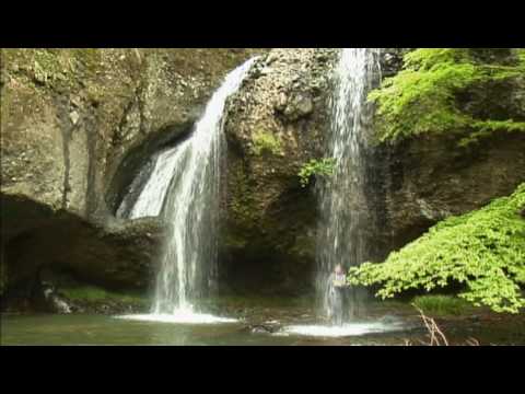 電気グルーヴ - ピエール瀧の体操42歳 - YouTube