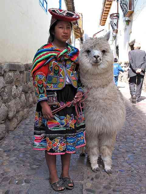 アルパカの世界に浸るトピ【画像】