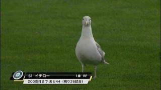 ガルちゃんでよく見る画像