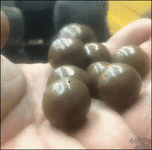 モノマネ画像集
