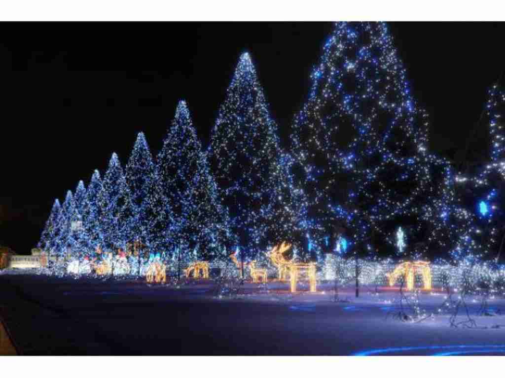 イルミネーションの画像みたいです！