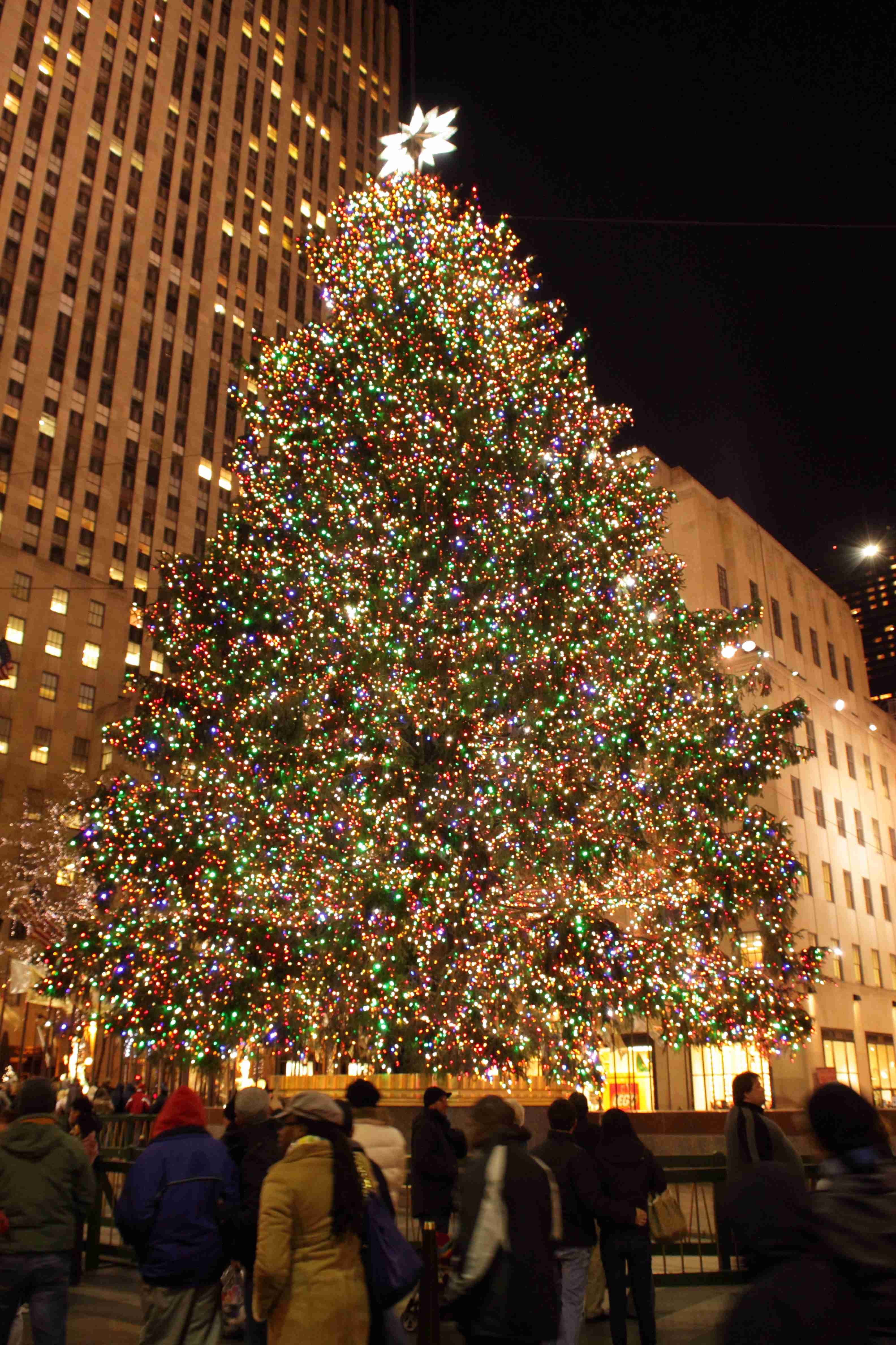 イルミネーションの画像みたいです！