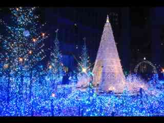 イルミネーションの画像みたいです！