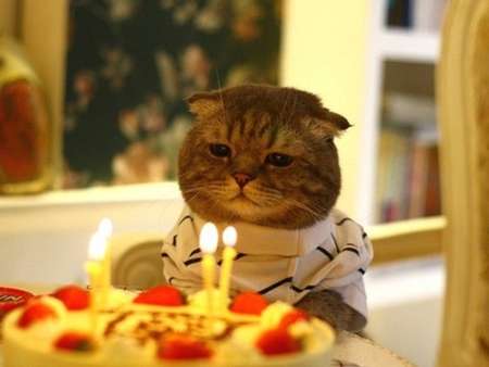 誕生日あるある