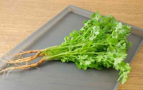 「今年の一皿」はパクチー料理