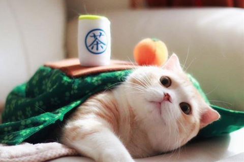年末年始の理想