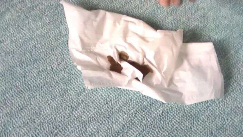 【豆知識】じゅうたんにこぼしてしまった醬油やソースをキレイに掃除する方法