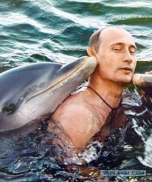 プーチン大統領への秋田犬贈呈見送り　ロシア側から断りの連絡