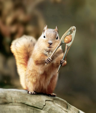 給料が少ない会社に勤めている人