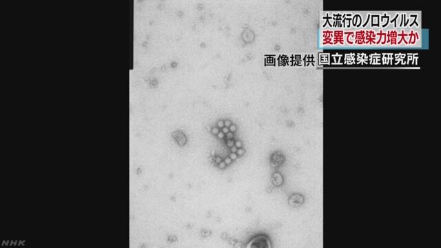 ノロウイルス 遺伝子の異変で感染力増大か | NHKニュース