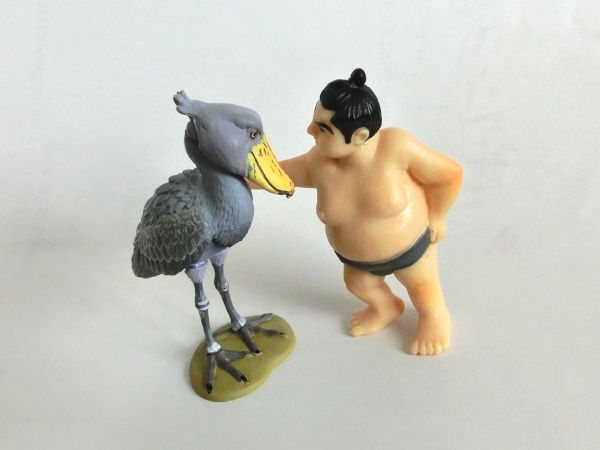 ふわふわが集まるトピ