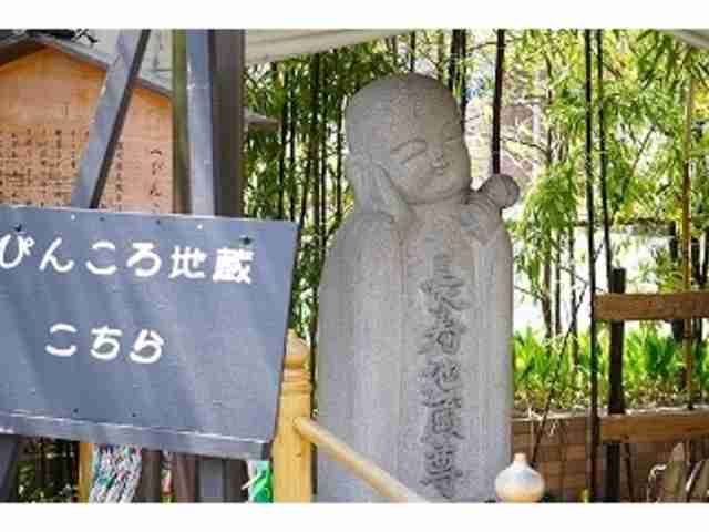 パリピ・ゲスい・ほぼほぼ…　辞書専門家が選ぶ「新語」大賞は