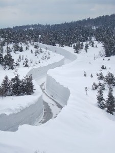 青森県民に『私はやっぱり雪見○○です!』○○に入る言葉を埋めて貰った結果www