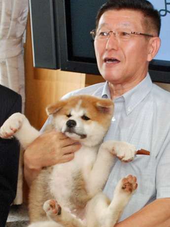 菅官房長官 プーチン大統領訪日で秋田犬贈呈を打診