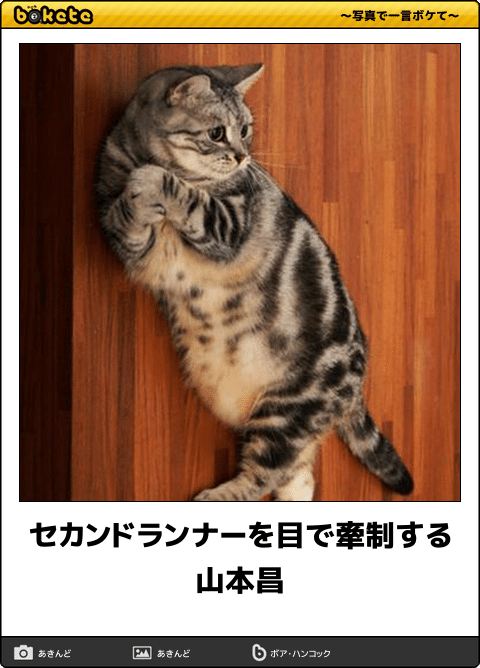 ガルちゃん猫カフェ☆10号店開店しました (はじめての方も大歓迎♪)