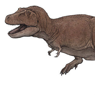 【画像】 最新の研究によりティラノサウルスは羽毛モフモフの大きな鳥だったことが判明