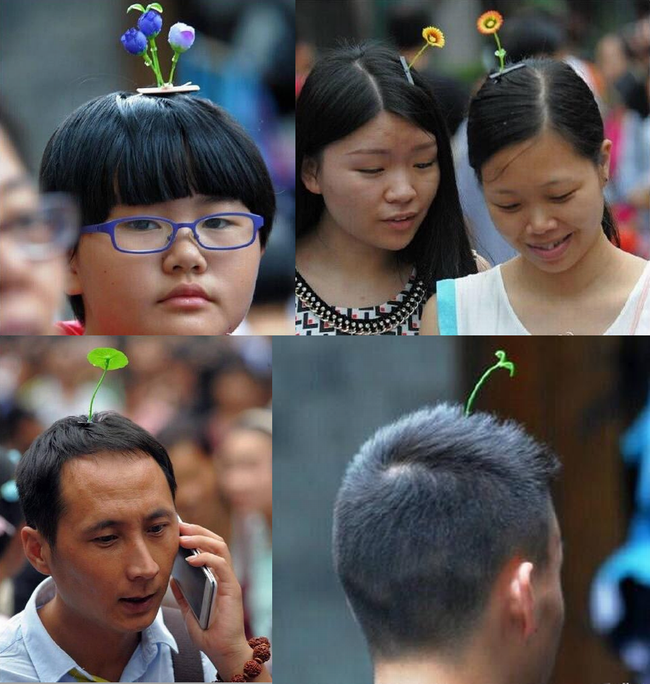ストレス社会に疲れた人に癒しを与える画期的な地下鉄が登場したと話題に