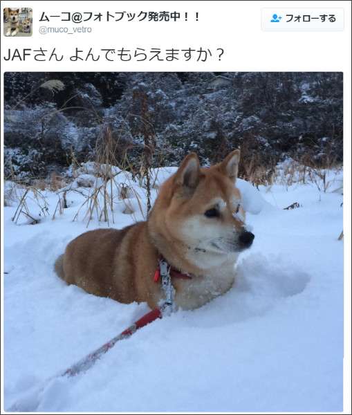 JAFさんこれ頼む！JAFの公式が無茶ぶりに神対応ぶりを見せつける！