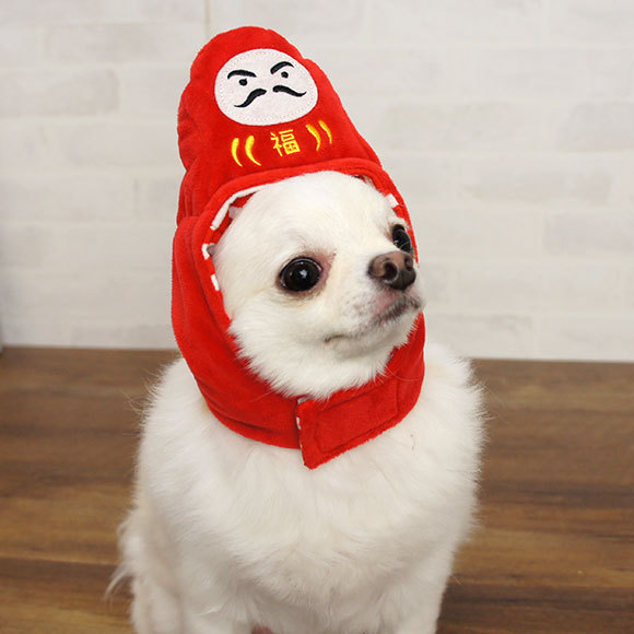 動物かぶりものトピ