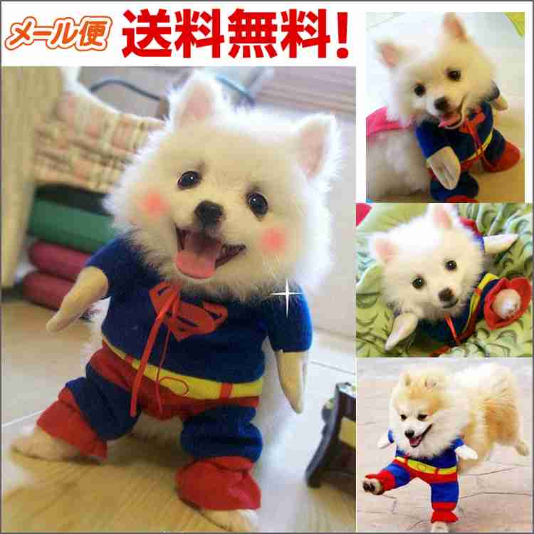 愛犬が可愛いスーパーマンに大変身！！