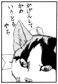 もしも動物の世界にガルちゃんがあったら
