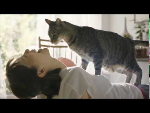 【CM】IAMS アイムス キャットフード 2016 - YouTube