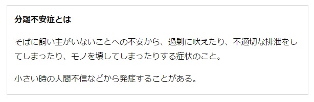 「妻が風呂に入ると、いつも覗きにいく」　ワンコの不思議な行動には理由があった