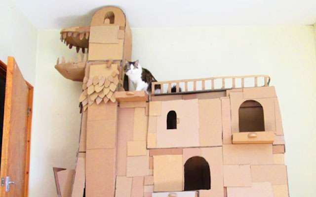 「世界一の猫タワーだニャン♡」飼い主さん、段ボールで愛を込めたDIY！  –  grape [グレイプ]