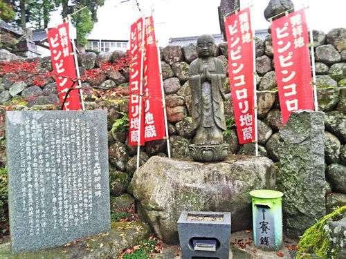 パリピ・ゲスい・ほぼほぼ…　辞書専門家が選ぶ「新語」大賞は