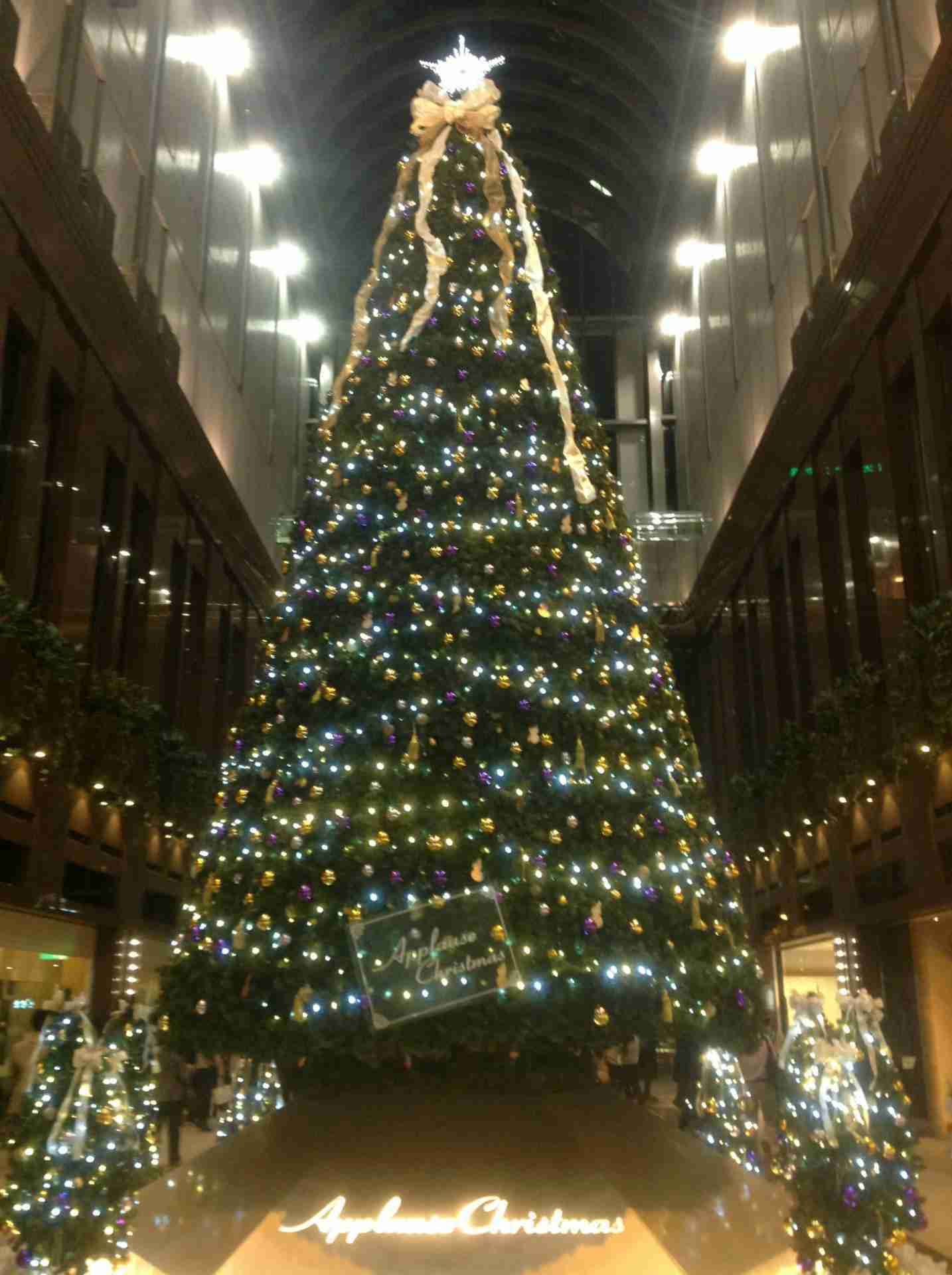 クリスマスツリーの画像を貼っていくトピ