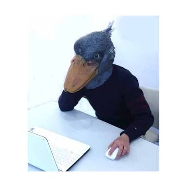ふわふわが集まるトピ