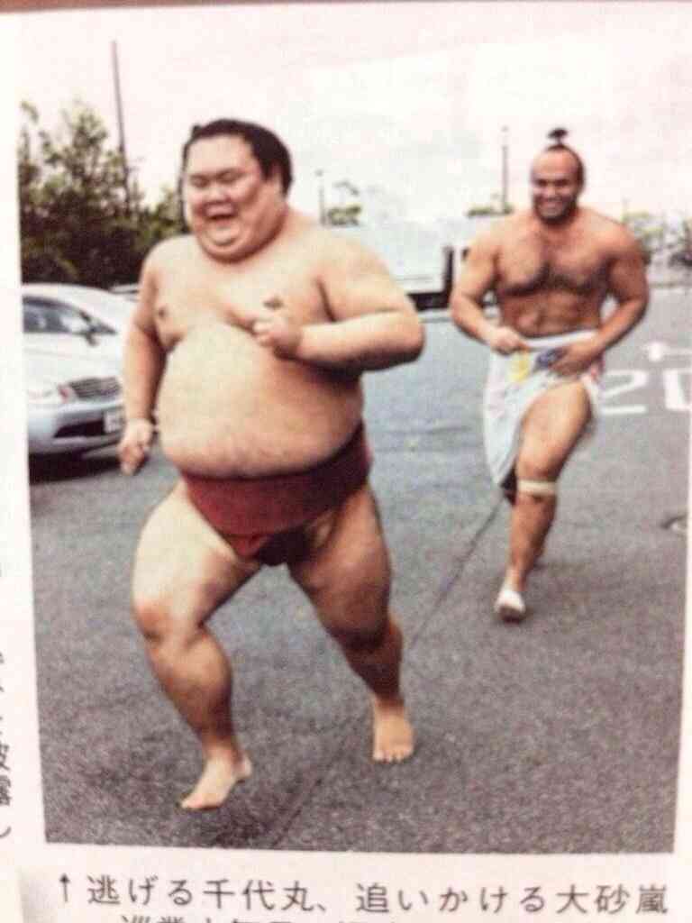 お相撲さんアルバムー年越し編ー